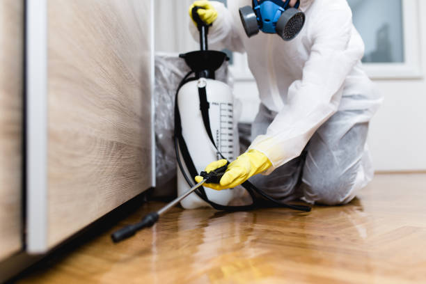 Best Affordable Pest Control Services  in Cabin John, MD