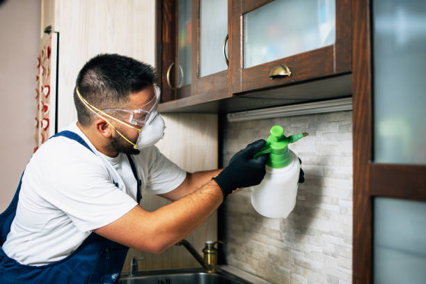 Best Wasp Removal Services  in Cabin John, MD