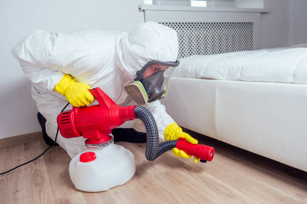 Wasp Removal Services in Cabin John, MD