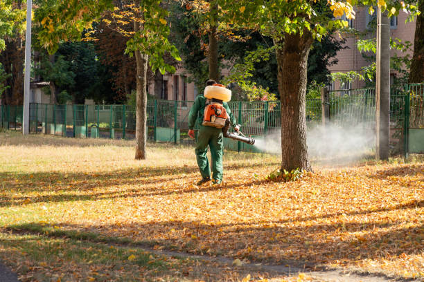 Best Wasp Removal Services  in Cabin John, MD