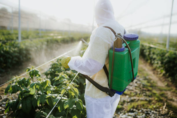 Best Emergency Pest Control  in Cabin John, MD